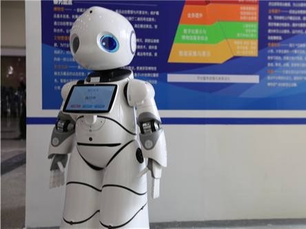 智能机器人办质检报告多少钱？